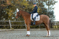 Load image into Gallery viewer, Snowlight Saddle Pad
