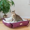 Load image into Gallery viewer, Armarkat Pet Bed Mat - Ivory
