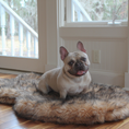 Load image into Gallery viewer, PupRug Faux Fur Orthopedic Dog Bed - Curve Sable Tan

