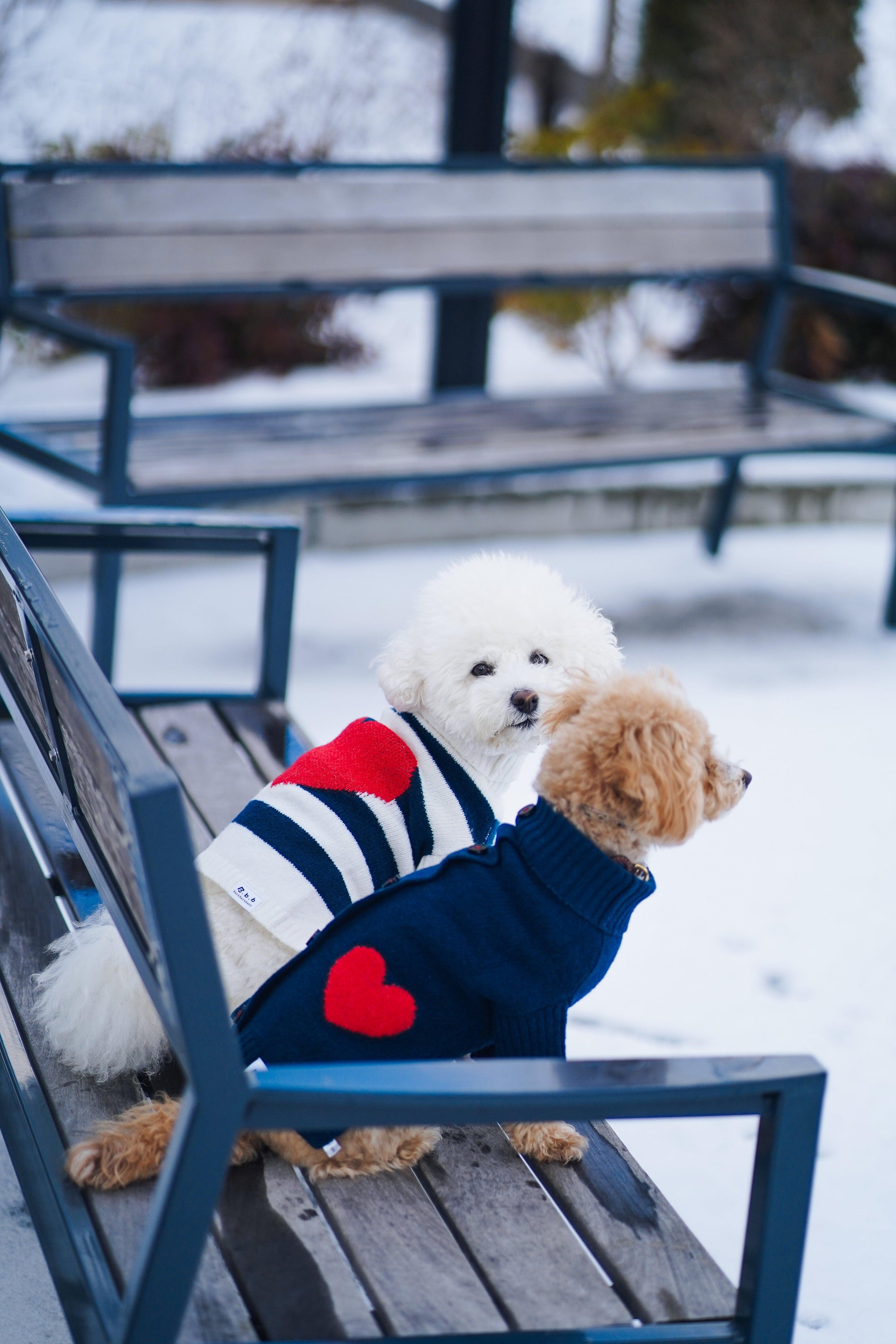Sailor of My Heart Striped Turtleneck Sweater - Southlake Paws