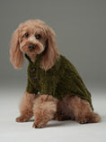 Load image into Gallery viewer, GLACIER PET SWEATER - OLIVE GREEN
