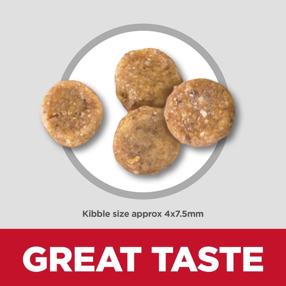 Hill's Science Diet Adult Sensitive Stomach & Skin Small & Mini Chicken Recipe Dry Dog Food Bag 