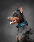 Load image into Gallery viewer, Constellations / Astrology / Zodiac / Celestial Dog Collar 
