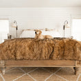 Load image into Gallery viewer, PupProtector™ Waterproof Throw Blanket - Sable Tan
