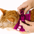 Load image into Gallery viewer, Joana Cat Harness & Leash Set
