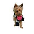 Load image into Gallery viewer, Black Polka Dot Flower Scarf
