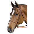Load image into Gallery viewer, Henri de Rivel Pro Fancy Raised Bridle With Laced Reins

