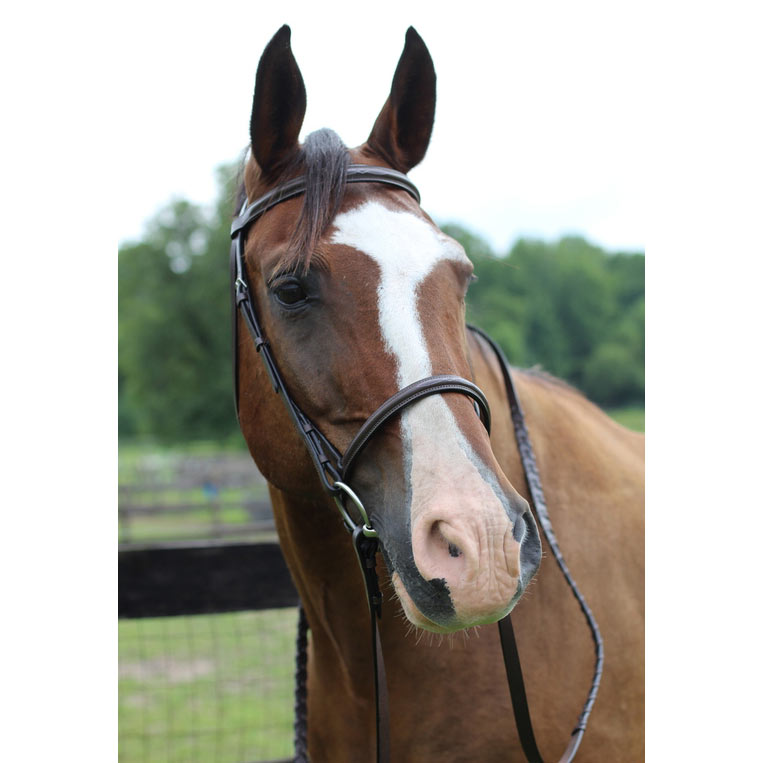 Henri de Rivel Pro Fancy Raised Bridle With Laced Reins - image 2