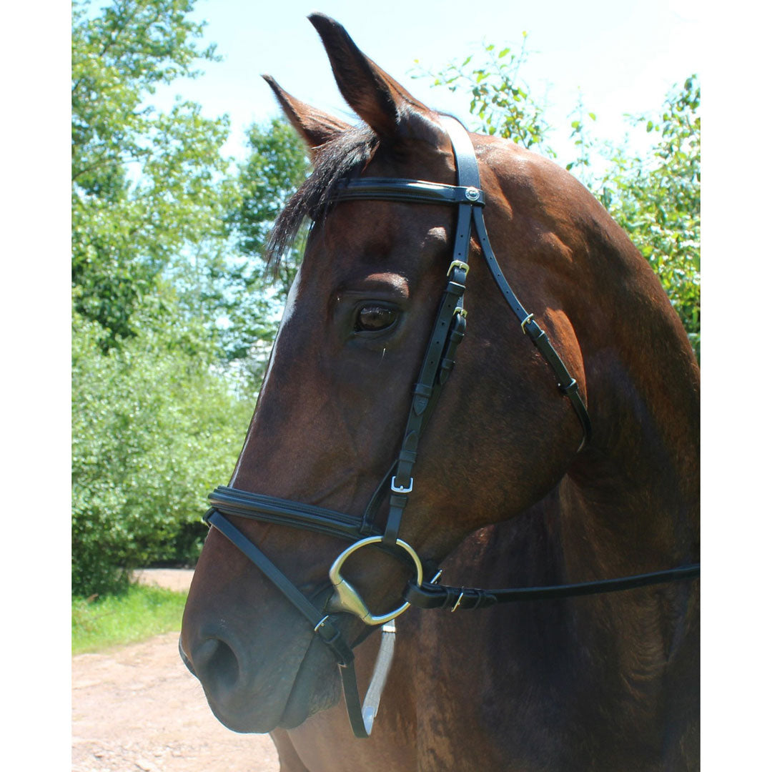 Henri de Rivel Pro Padded Dressage Bridle with Flash and Web Reins - image 2