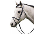 Load image into Gallery viewer, Henri de Rivel Pro Padded Dressage Bridle with Flash and Web Reins
