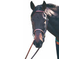 Load image into Gallery viewer, Henri de Rivel Advantage Fancy Raised Snaffle Bridle With Laced Reins - image 9
