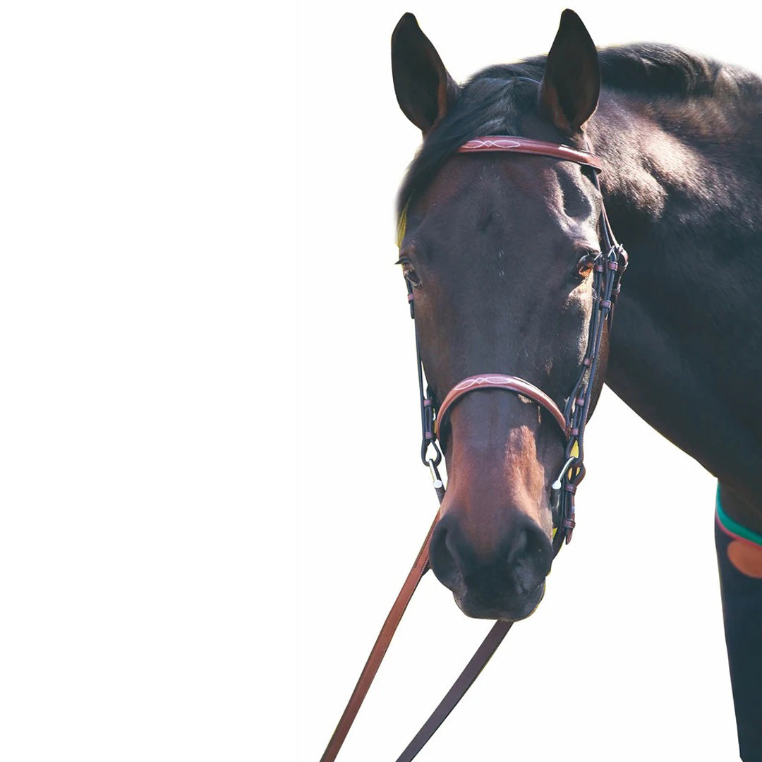 Henri de Rivel Advantage Fancy Raised Snaffle Bridle With Laced Reins - image 9