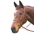 Load image into Gallery viewer, Henri de Rivel Advantage Plain Raised Snaffle Bridle With Laced Reins

