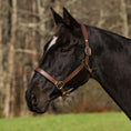 Load image into Gallery viewer, Henri de Rivel Pro Fancy Padded Rolled Throat Triple Stitched Halter
