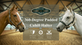 Load image into Gallery viewer, Henri De Rivel 360-Degree Padded Cahill Halter - image 4
