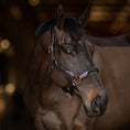 Load image into Gallery viewer, Henri de Rivel Leather Rope Halter - image 3

