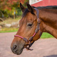 Load image into Gallery viewer, Henri de Rivel Leather Rope Halter
