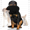 Load image into Gallery viewer, tuffy® Zoo Series - Beaufort Bear
