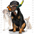 Load image into Gallery viewer, tuffy® Barnyard Series - Dudley Duck
