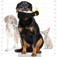 Load image into Gallery viewer, tuffy® Zoo Series - Peabody Penguin
