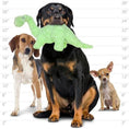 Load image into Gallery viewer, mighty® Dinosaur Series - Brachiosaurus

