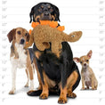 Load image into Gallery viewer, mighty® Dinosaur Series - Stegosaurus
