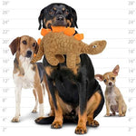 mighty® Dinosaur Series - Stegosaurus