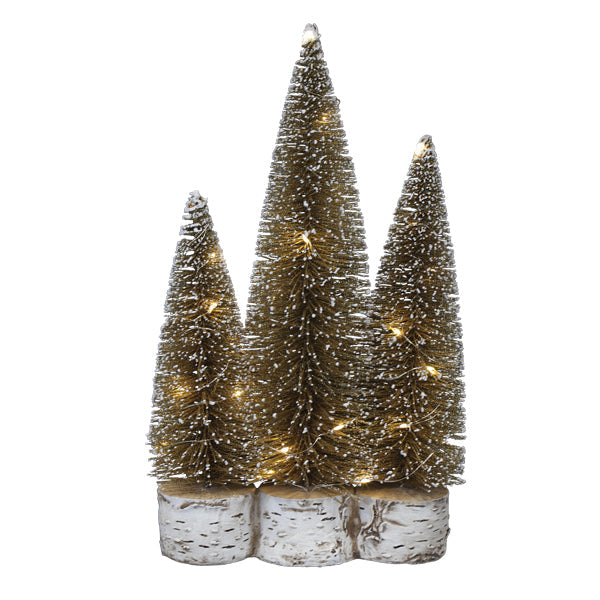 Lit Gold Tree Trio - Southlake Paws
