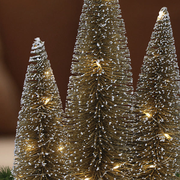 Lit Gold Tree Trio - Southlake Paws