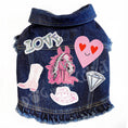 Load image into Gallery viewer, Pink Cowgirl Dog Jacket alternate view
