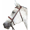 Load image into Gallery viewer, Henri de Rivel Pro Mono Crown Padded Bridle - image 3

