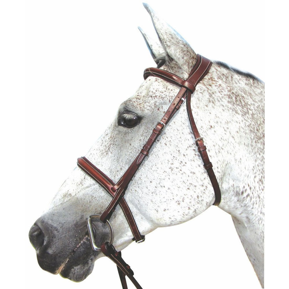 Henri de Rivel Pro Mono Crown Padded Bridle - image 3