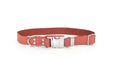 Load image into Gallery viewer, Modern Style Quick-Release Coral Reef Leather Dog Collar
