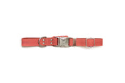 Modern Style Quick-Release Coral Reef Leather Dog Collar