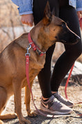 Load image into Gallery viewer, Modern Style Quick-Release Coral Reef Leather Dog Collar - image 4
