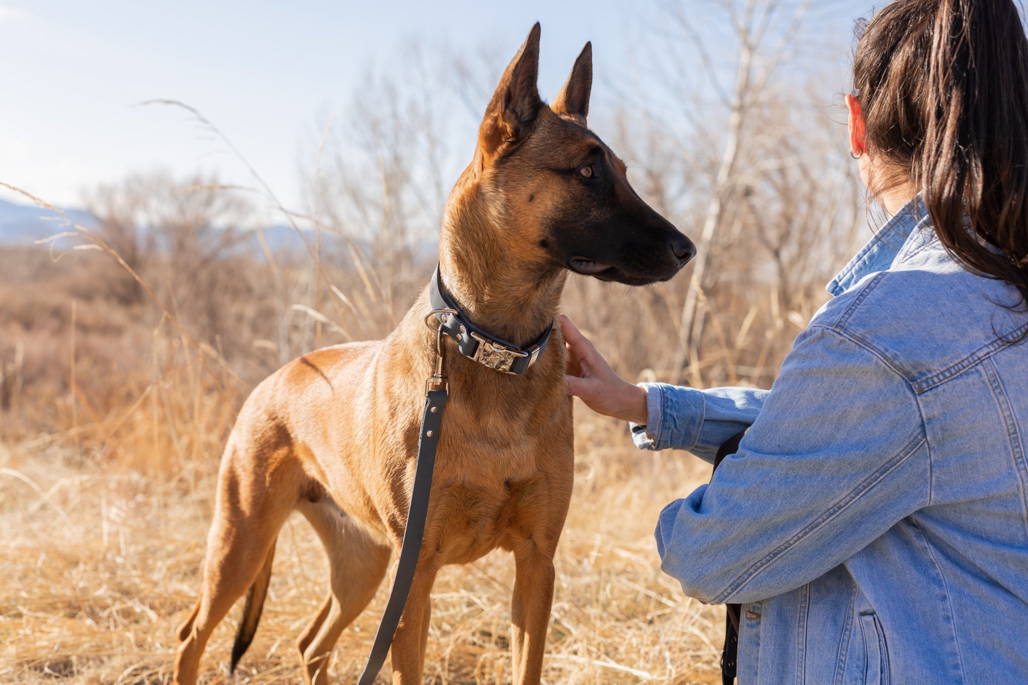 Modern Style Blue Jeans Leather Leash - image 2