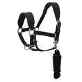 Load image into Gallery viewer, Henri de Rivel Ergonomic Comfort Halter and Lead Rope Set - image 4
