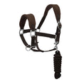 Load image into Gallery viewer, Henri de Rivel Ergonomic Comfort Halter and Lead Rope Set - image 15
