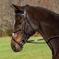 Load image into Gallery viewer, Henri de Rivel Pro Mono Crown Raised Figure Eight Bridle with Rubber Reins
