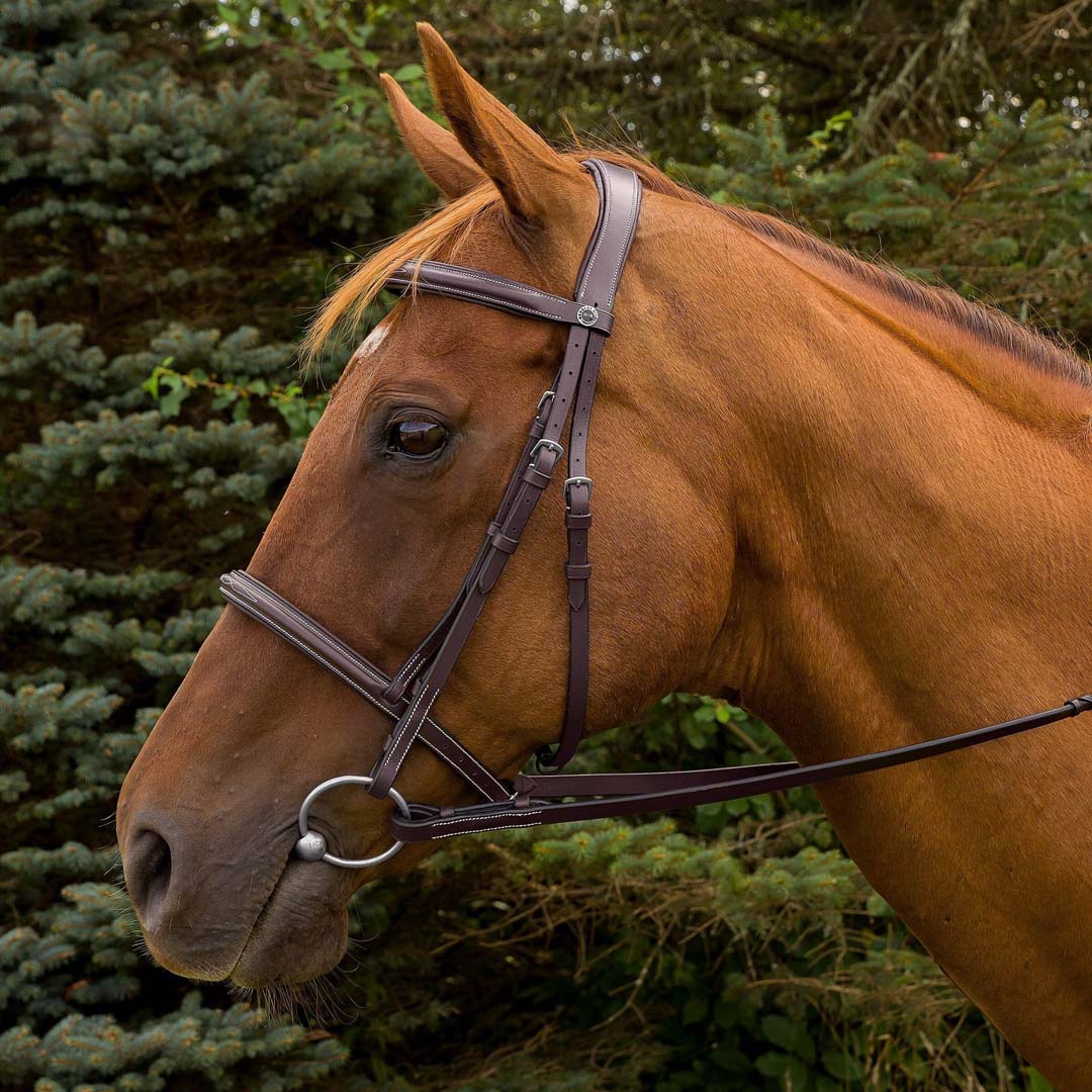 Henri de Rivel Pro Mono Crown Fancy Stitched Padded Bridle - image 2