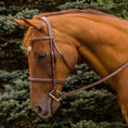 Load image into Gallery viewer, Henri de Rivel Pro Mono Crown Fancy Stitched Padded Bridle - image 8
