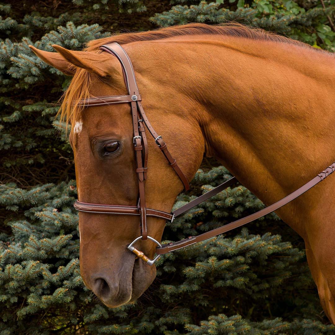 Henri de Rivel Pro Mono Crown Fancy Stitched Padded Bridle - image 8