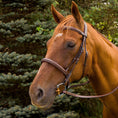 Load image into Gallery viewer, Henri de Rivel Pro Mono Crown Fancy Stitched Padded Bridle - image 7

