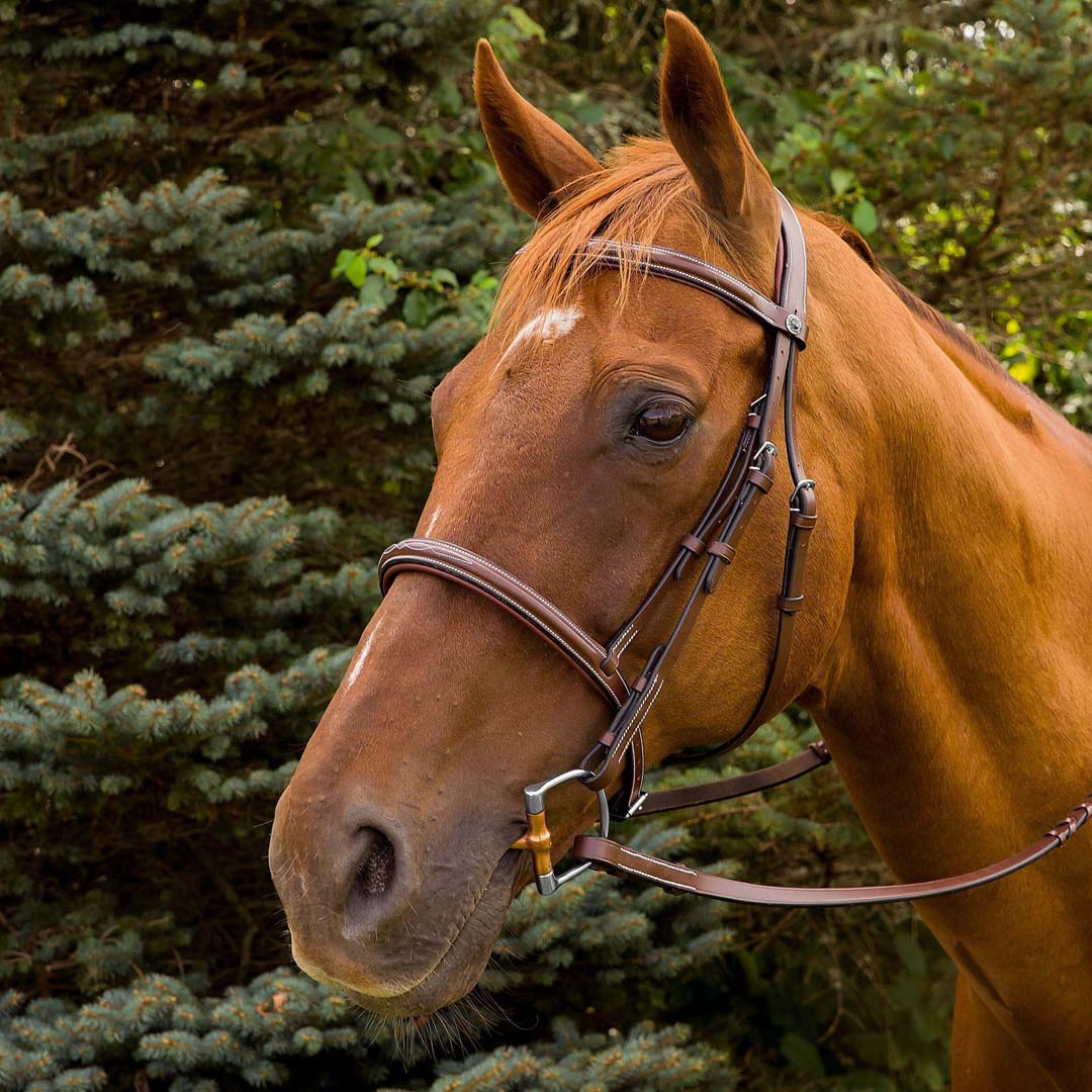 Henri de Rivel Pro Mono Crown Fancy Stitched Padded Bridle - image 7