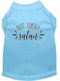 Load image into Gallery viewer, Pet Shirt "Not Today Satan"
