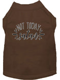 Load image into Gallery viewer, Pet Shirt "Not Today Satan"
