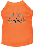 Load image into Gallery viewer, Pet Shirt "Not Today Satan"
