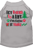 Load image into Gallery viewer, Christmas Pet Dog and Cat Shirt, "He's Making A List, I've Eaten It Twice"
