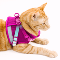 Load image into Gallery viewer, Joana Cat Harness & Leash Set
