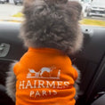 Load image into Gallery viewer, Hairmes Paris Designer Dog T-Shirt 
